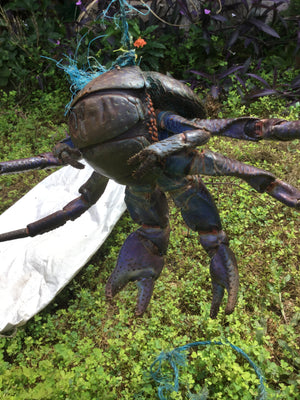 Coconut Crab