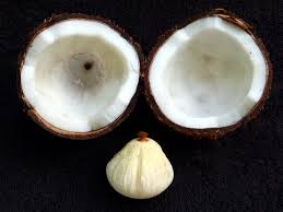 Coconut Oil was produced from Over ripe coconuts, using finger wipe out coocnut oil 