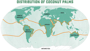 map of virgin coconut oil producing regions